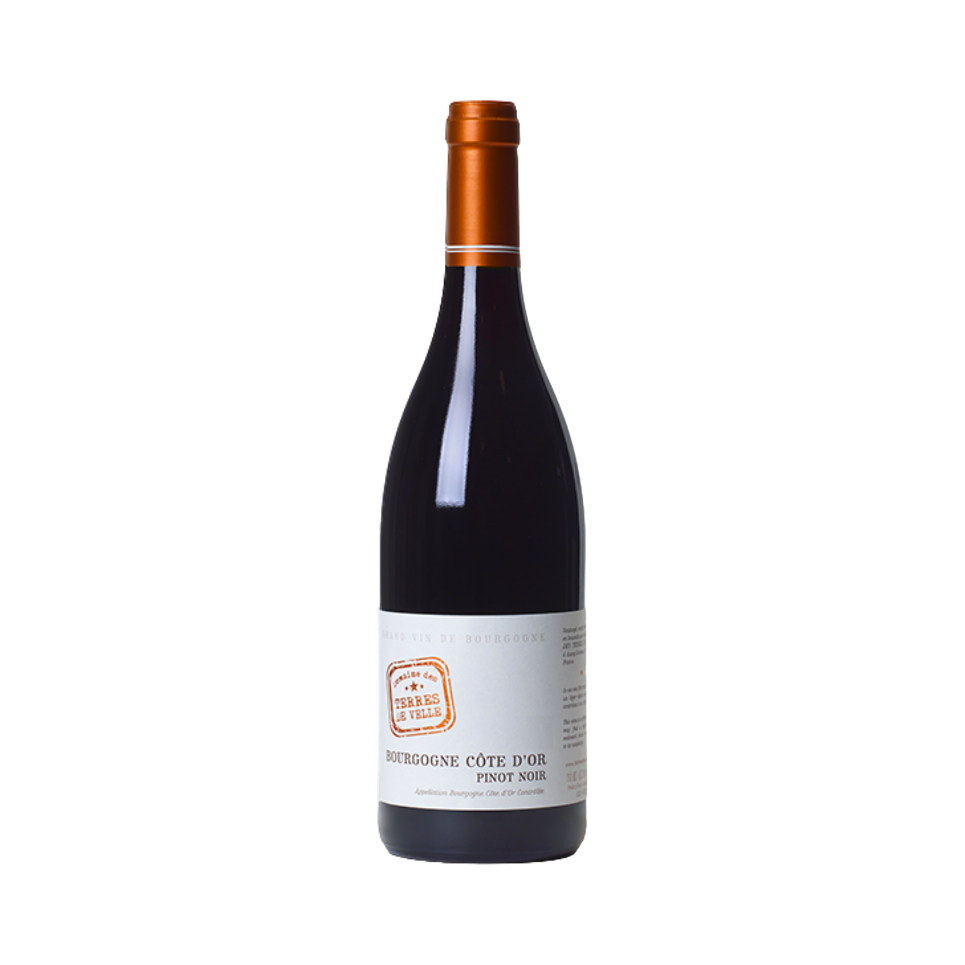 Bourgogne Côte d'Or Pinot Noir 2017 (12 bottles)