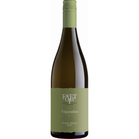Fattori Pinot Grigio DOC Valparadiso 2023 (12 Bottles)