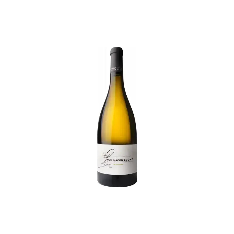 Domaine Clos Des Rocs Mâcon En Près Forêt 2022 (12 Bottles)