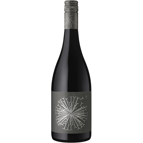 Dandelion Vineyards Firehawk of McLaren Vale Shiraz 2023 (12 bottles)