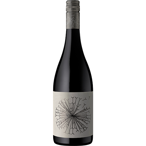 Dandelion Vineyards Lion’s Tooth of McLaren Vale Shiraz Riesling 2024 (12 bottles)