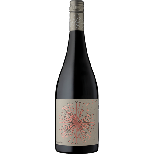 Dandelion Vineyards Treasure Trove of McLaren Vale Grenache 2024 (12 bottles)