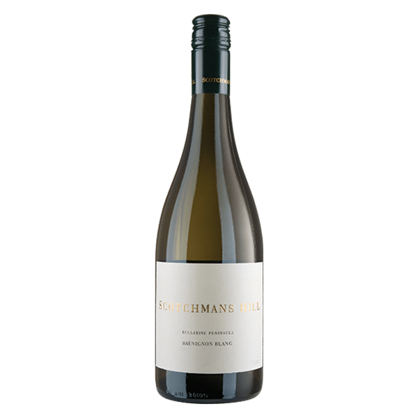 Scotchman's Hill Sauvignon Blanc 2024 (12 Bottles)