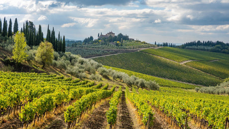 Italian wine region Tuscany where they make Chianti