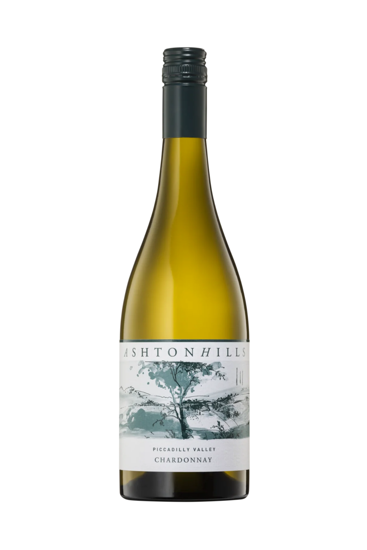 Ashton Hills Vineyard Piccadilly Valley Chardonnay 2024 (12 bottles)