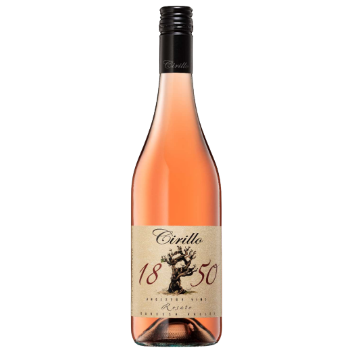 Cirillo 1850 Ancestor Vine Series Rosato 2024 (12 Bottles)