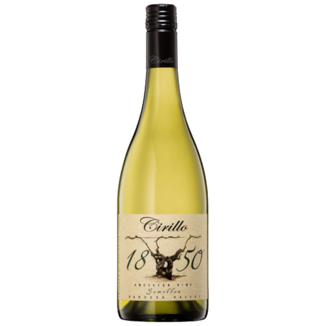 Cirillo 1850 Ancestor Vine Series Semillon 2019 (12 Bottles)
