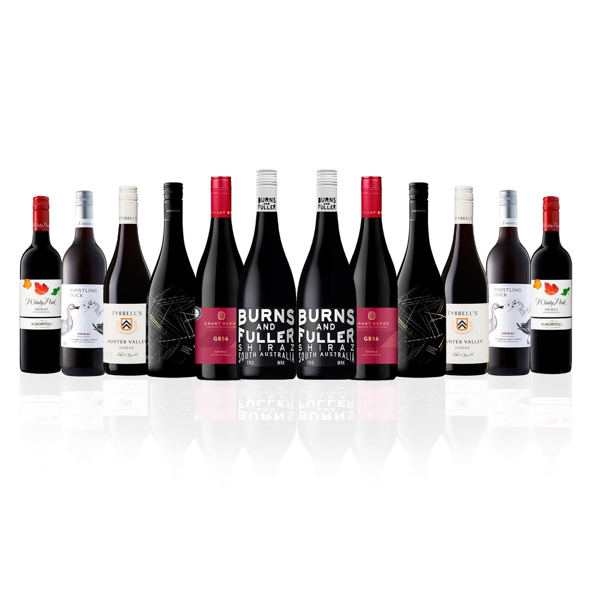 Shiraz Lovers Mix (12 Bottles)