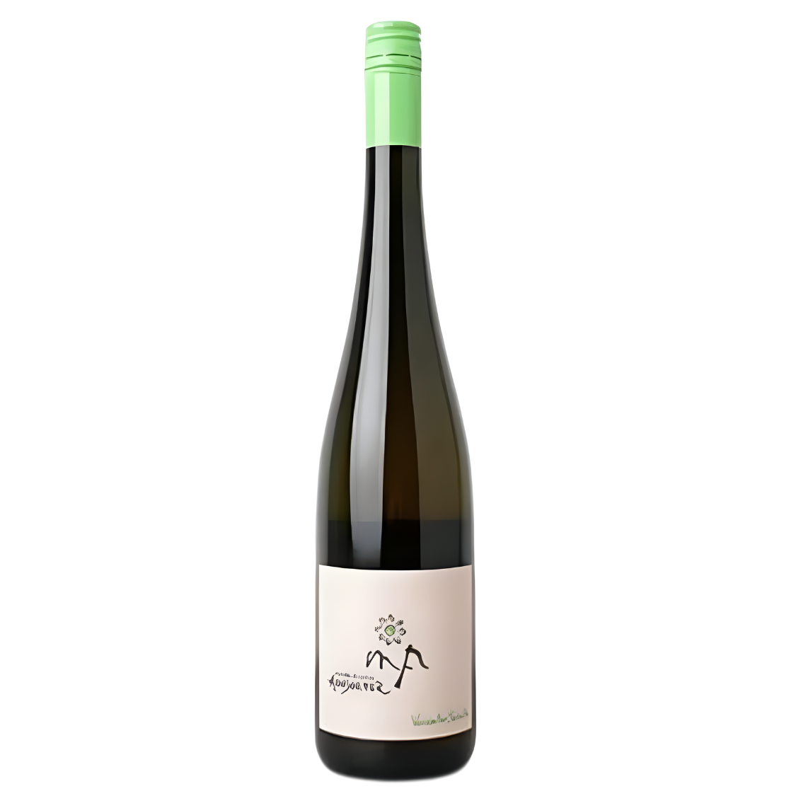 Martin & Anna Arndorfer Vereinter Schatz Grüner Veltliner | Riesling 2023 (12 Bottles)