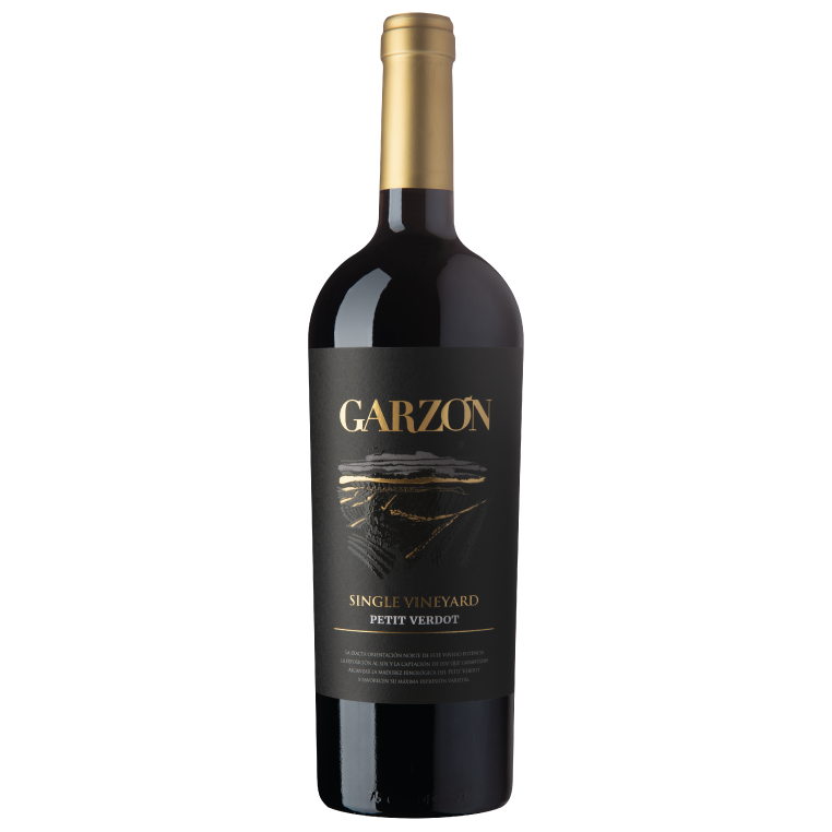Bodega Garzon Single Vineyard Petit Verdot, Uruguay 2022 (12 bottles)