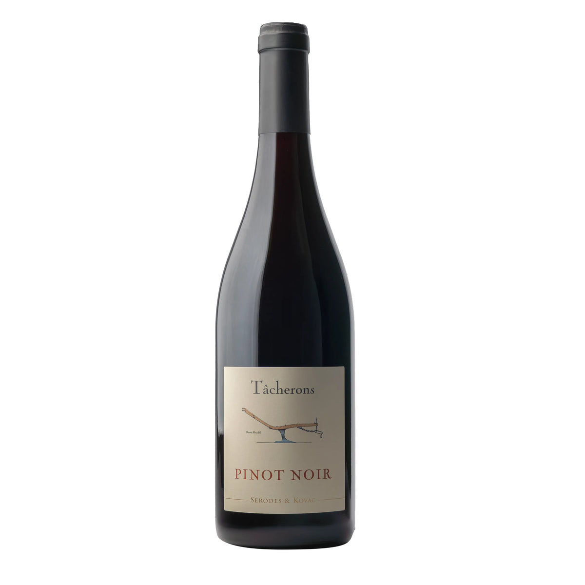 Tâcherons Pinot Noir 2024 (12 Bottles)